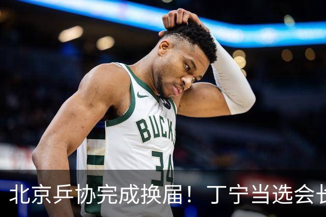 北京乒协完成换届！丁宁当选会长 刘国正等人当选副会长
